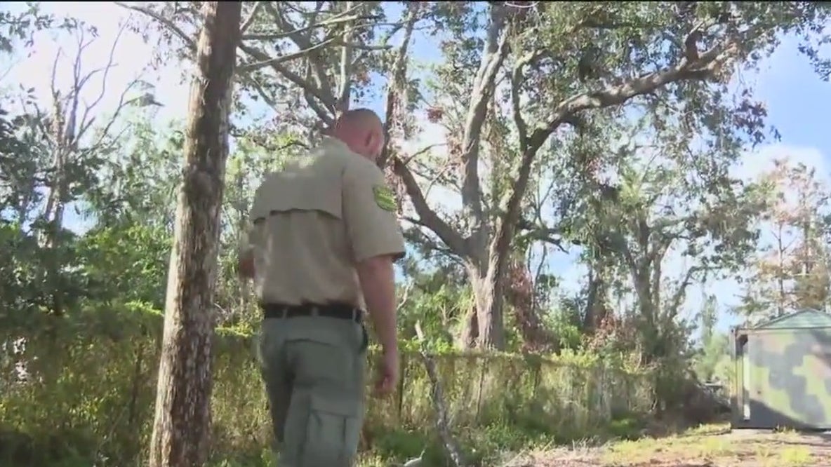 Sarasota County under burn ban for New Year's Eve